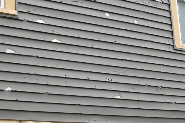 Storm Damage Siding Repair in Southeast Arcadia, FL